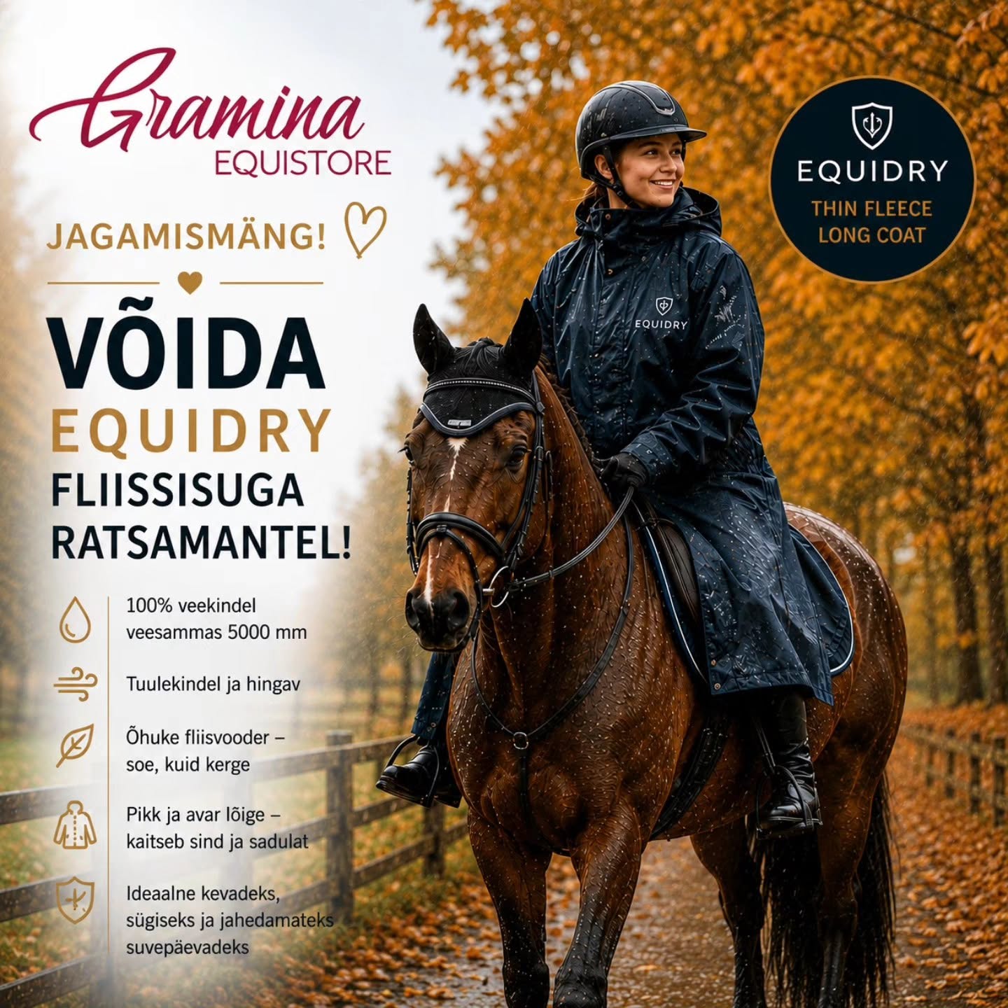 Facebooki auhinnamäng
