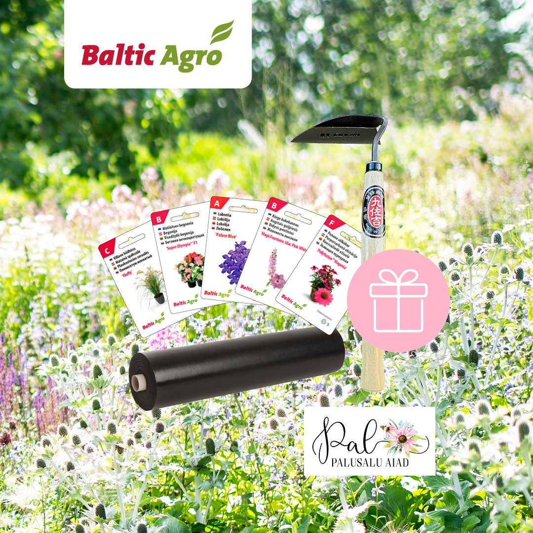 Facebooki auhinnamäng