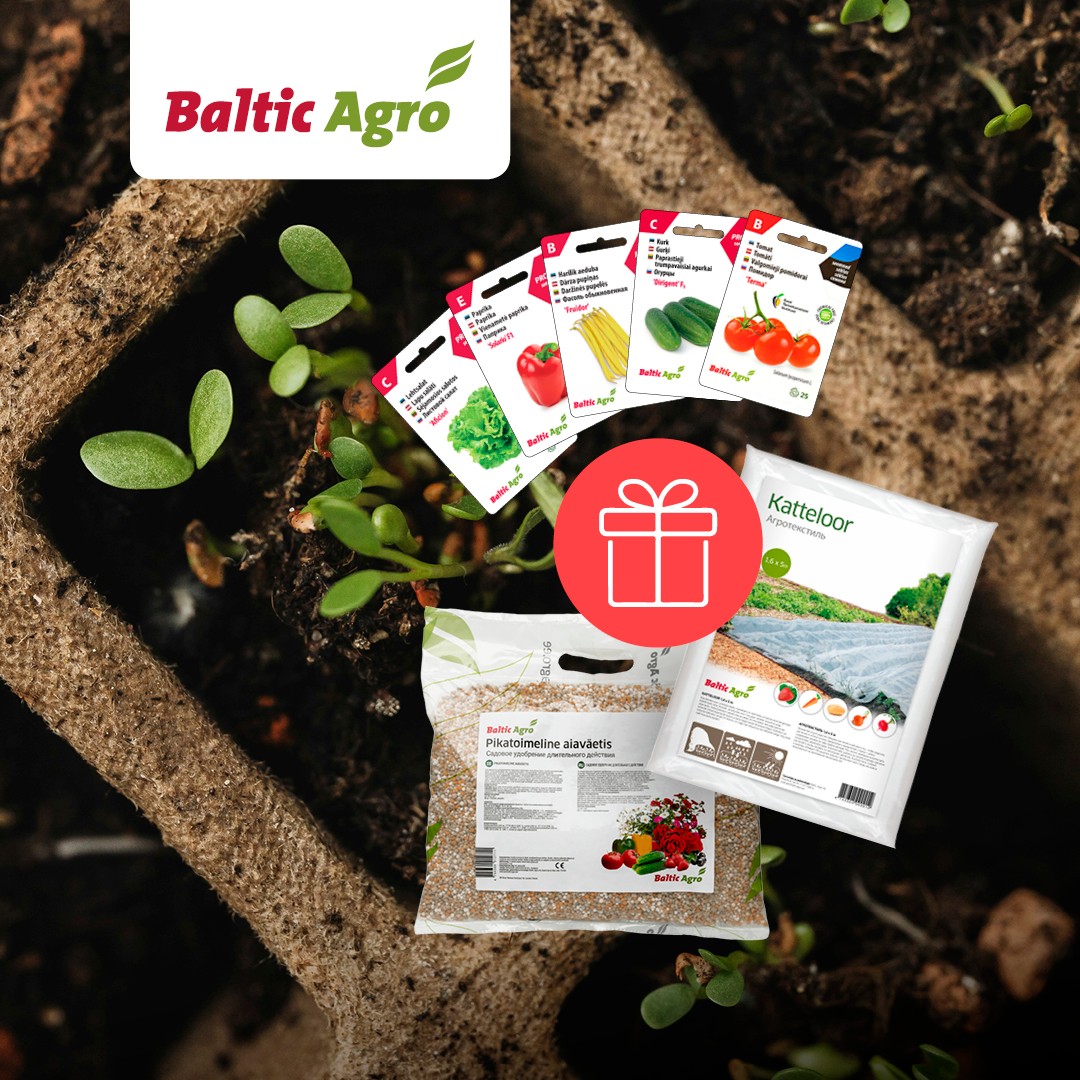 Facebooki auhinnamäng