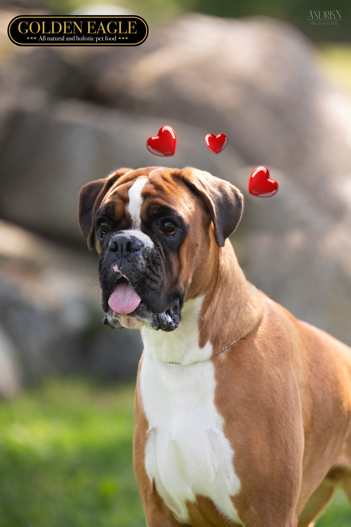 Facebooki auhinnamäng