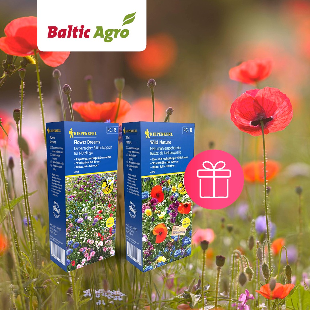 Facebooki auhinnamäng