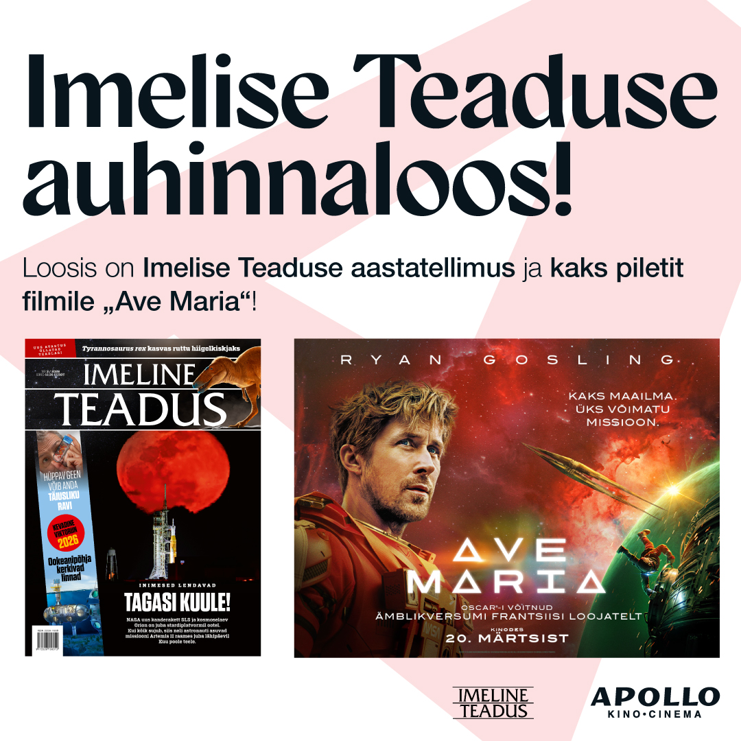 Facebooki auhinnamäng