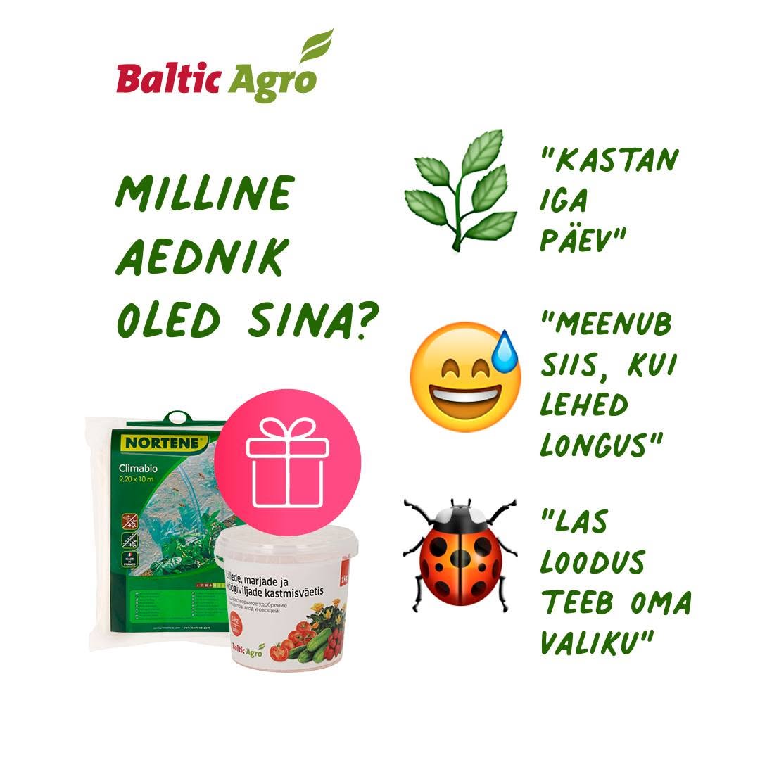 Facebooki auhinnamäng