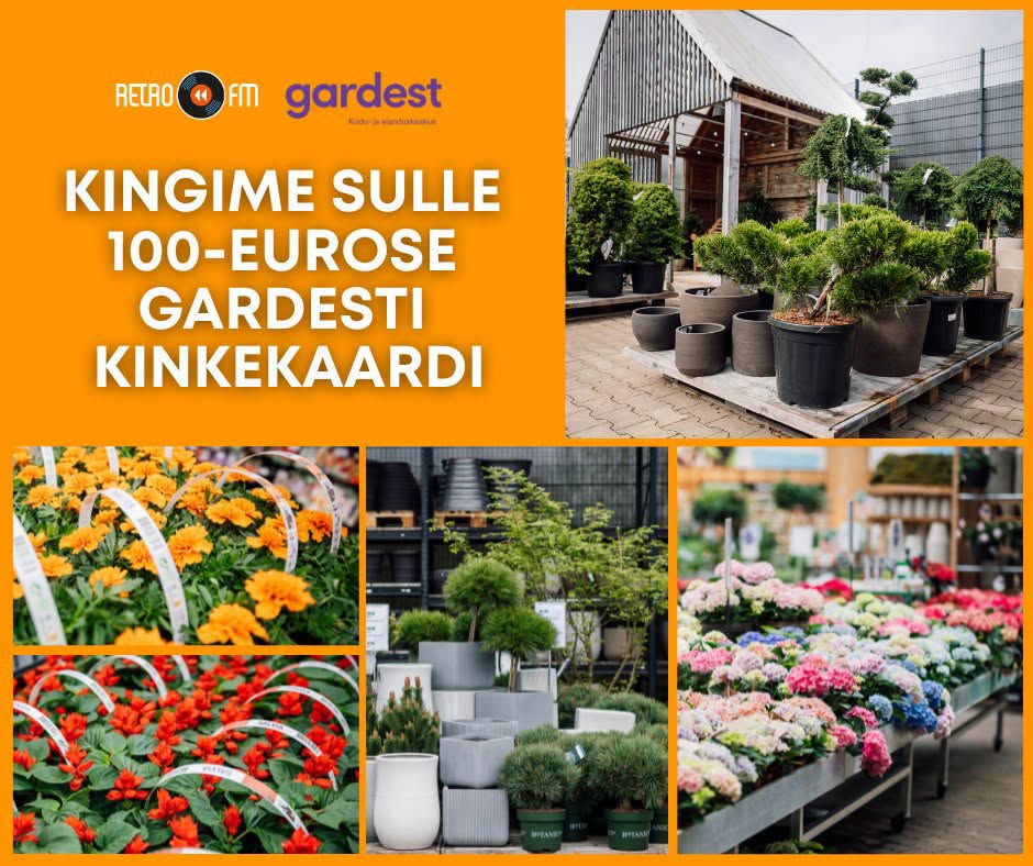 Facebooki auhinnamäng