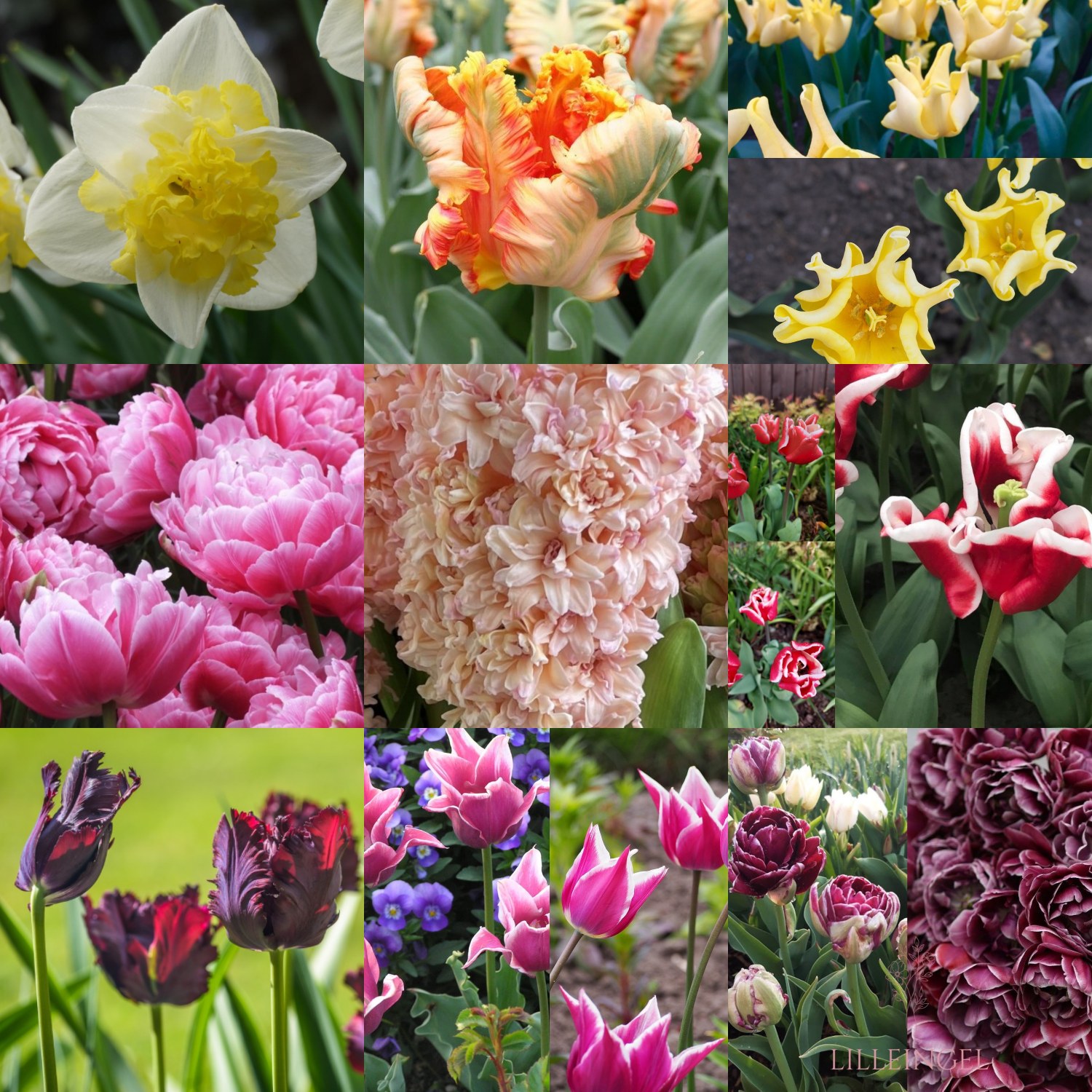 Facebooki auhinnamäng