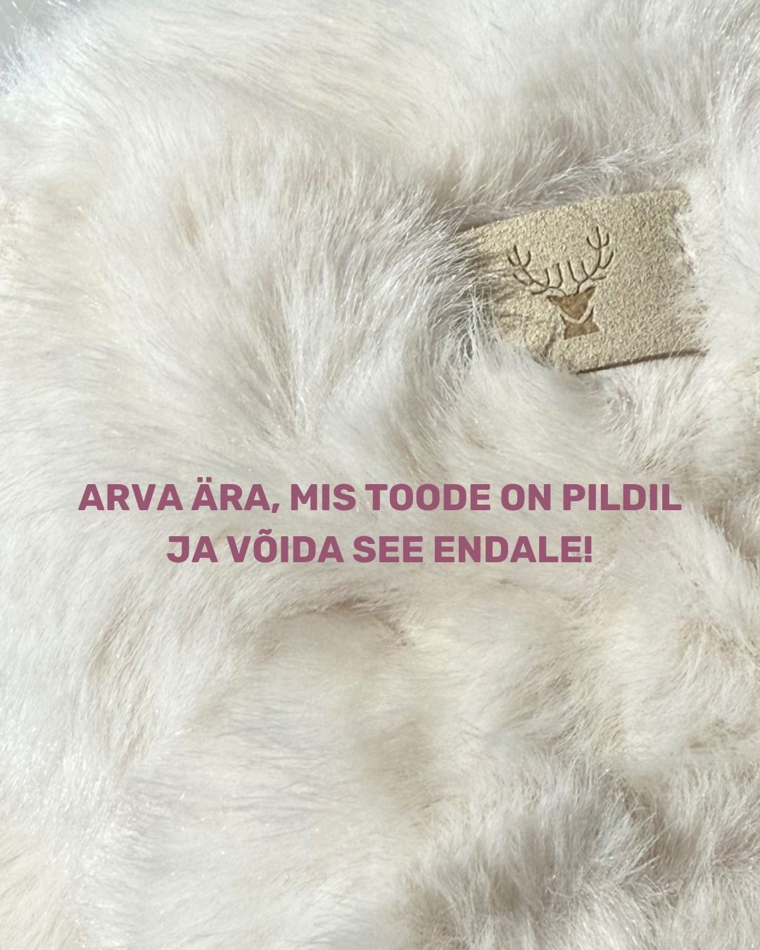 Facebooki auhinnamäng