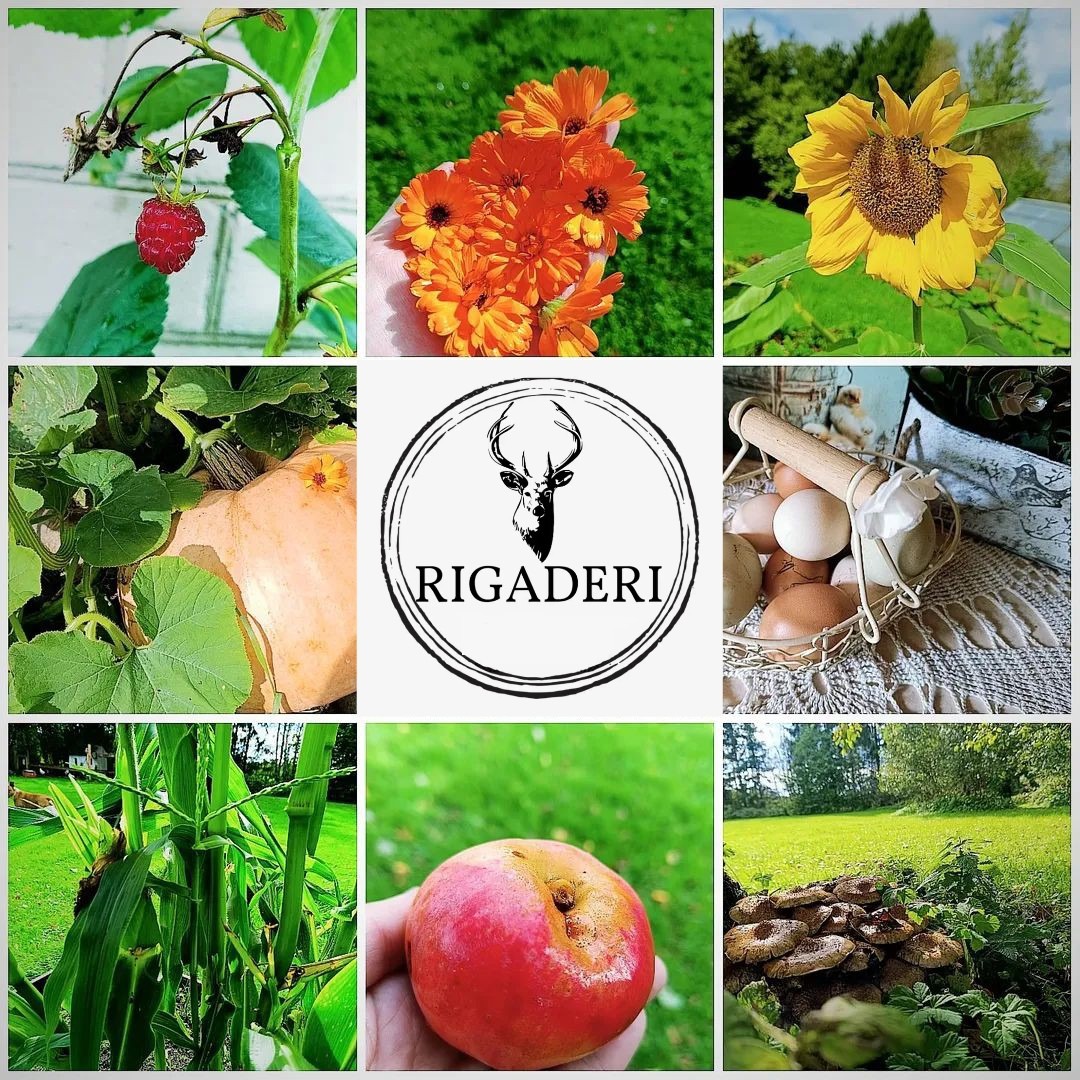 Facebooki auhinnamäng