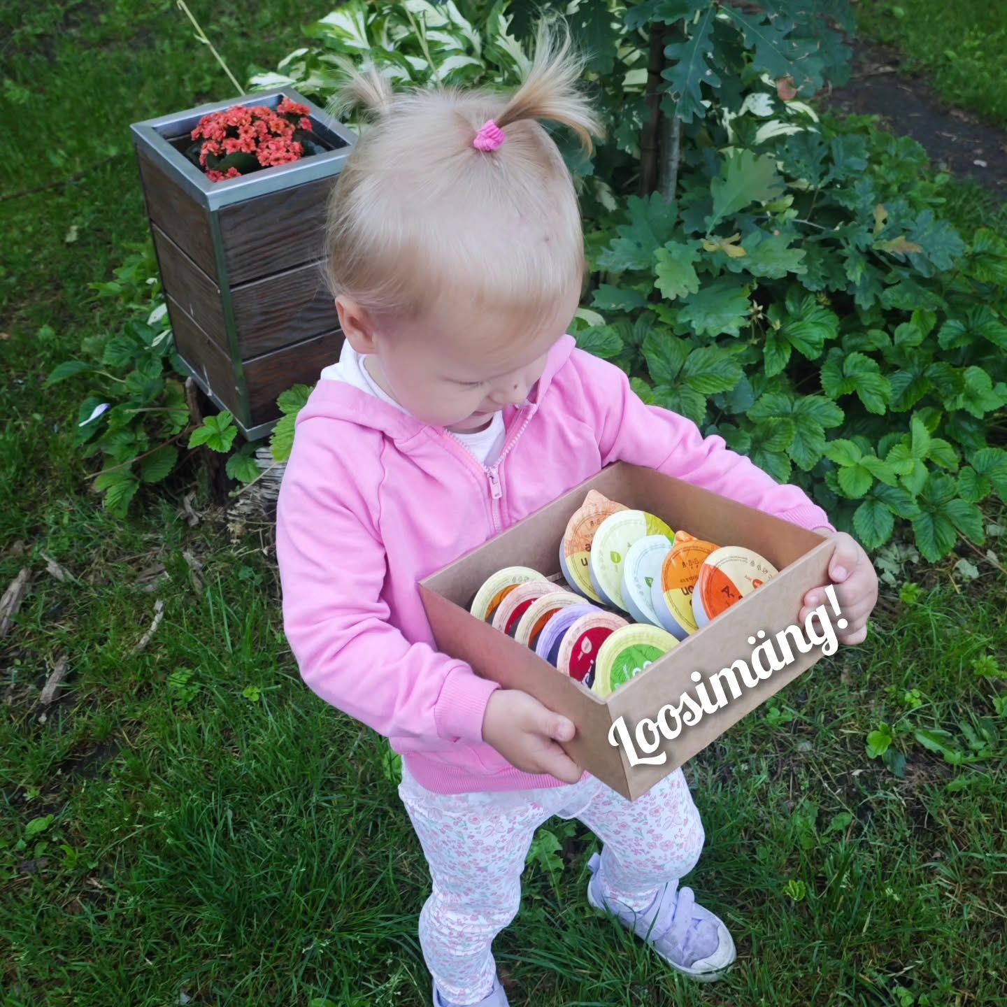 Instagrami auhinnamäng