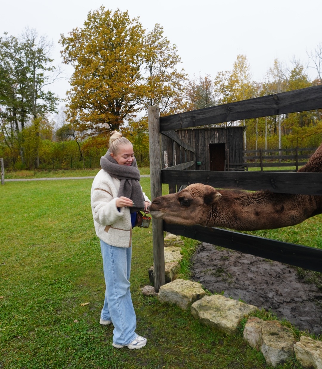 Instagrami auhinnamäng