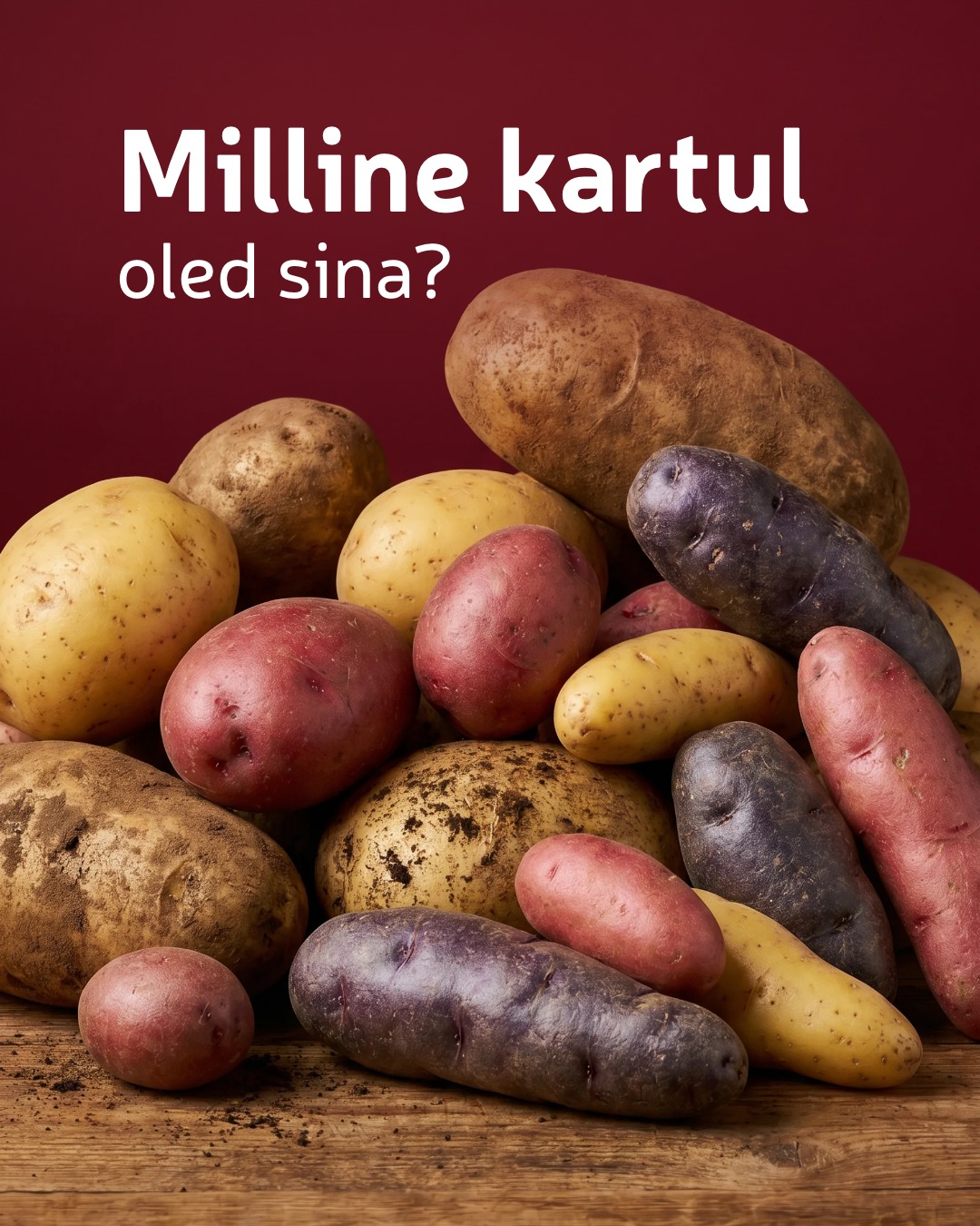 Instagrami auhinnamäng