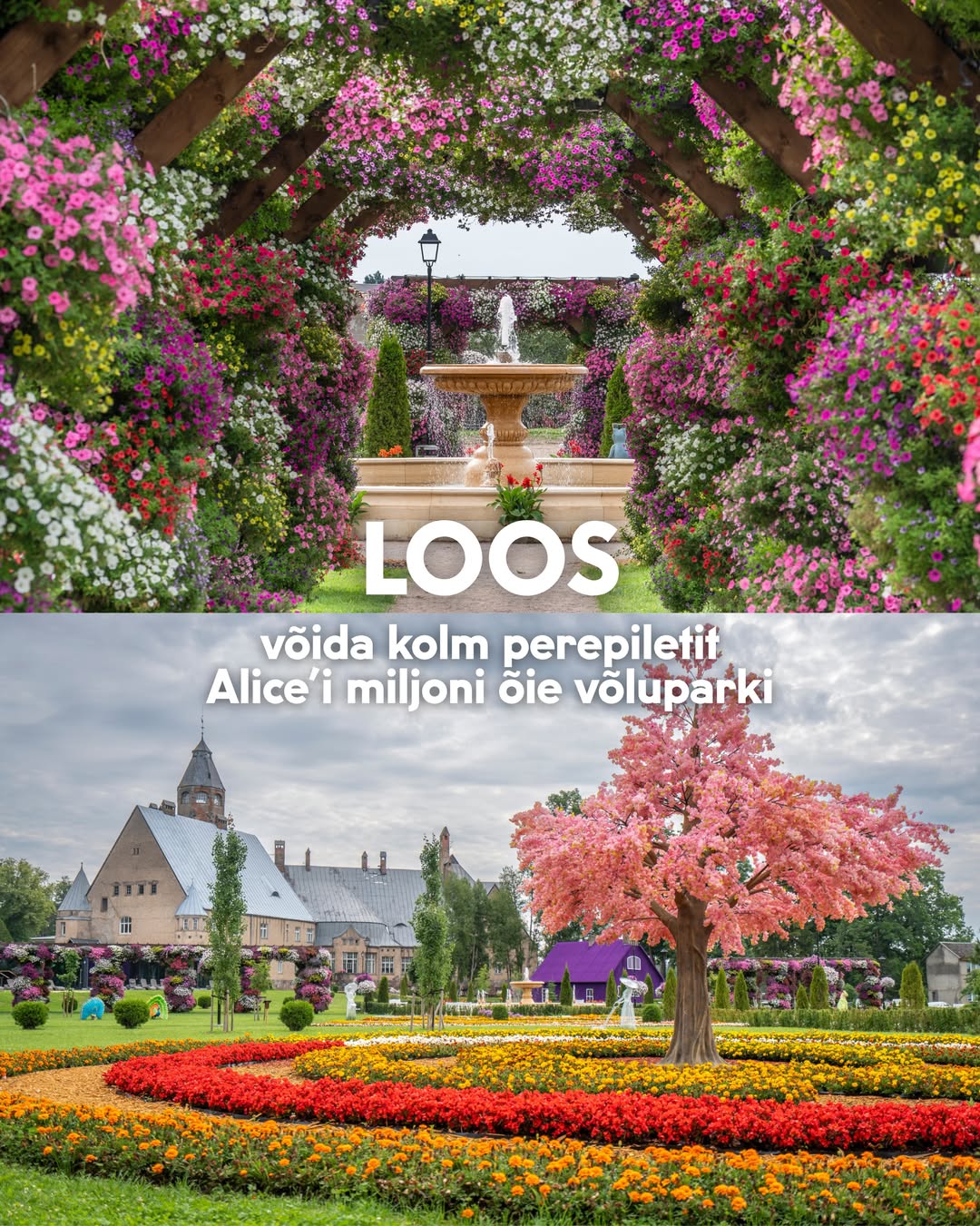 Instagrami auhinnamäng